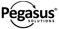 Pegasus Solutions